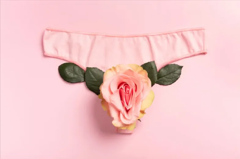 Tratamientos para Síntomas Vulvovaginales: Lo Que Debes Saber